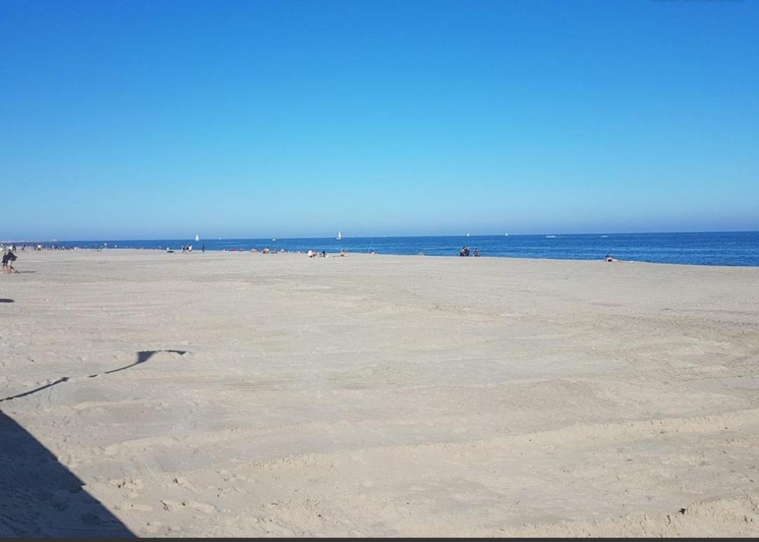 קאנט אן רוסיון Appart Face A La Mer Les Pieds Dans L'Eau מראה חיצוני תמונה